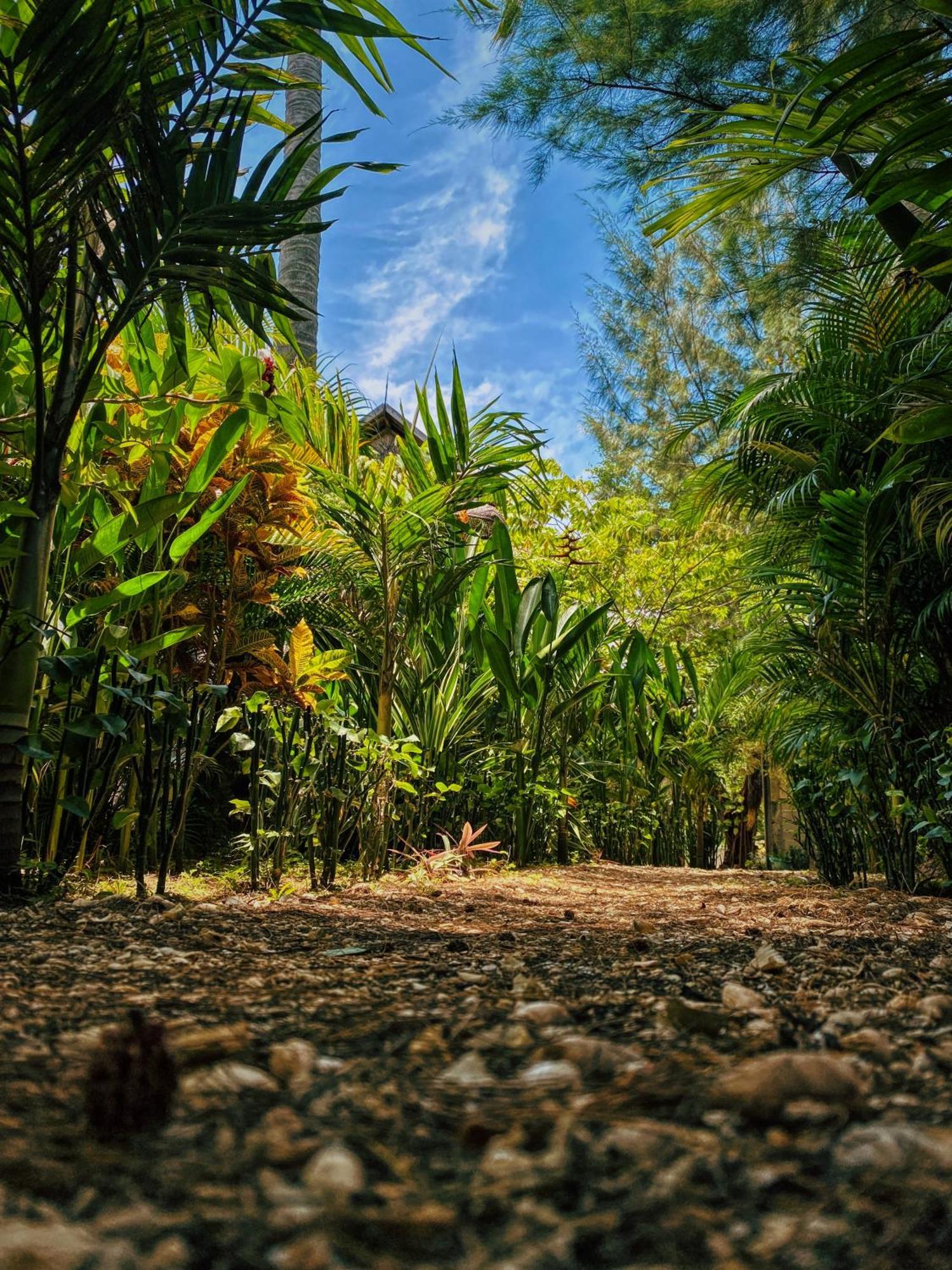 Basa-Basi Lodge Karimunjawa Exterior photo